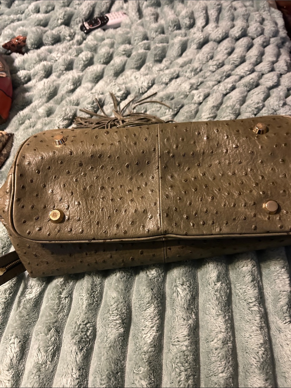G.I.L.I. Olive Green Ostrich-Embossed Satchel with Tassel - Picture 9 of 16